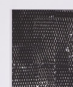 Black and White III, Expanded Metal Painting
