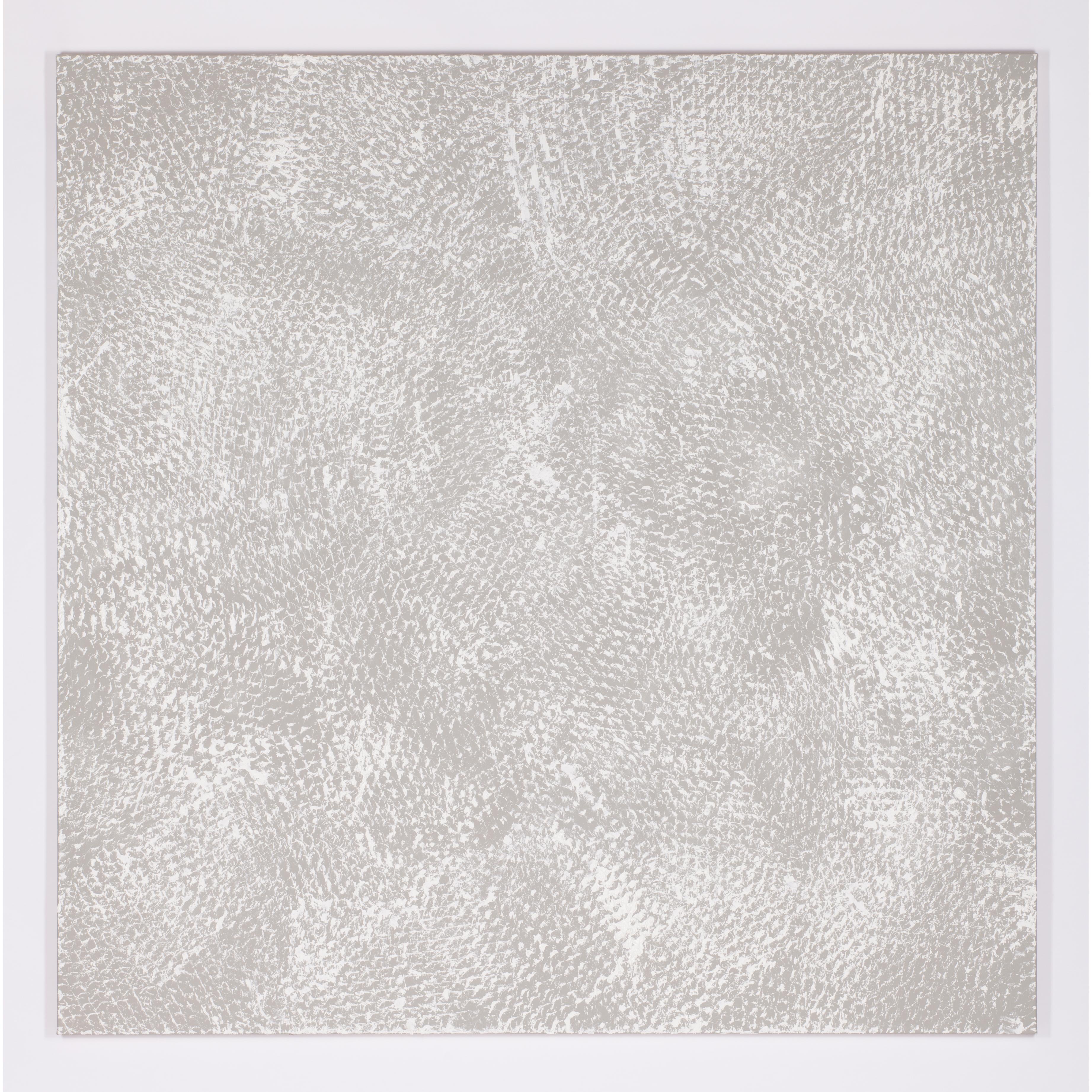 Greyn and White I, Expanded Metal Painting For Sale 1