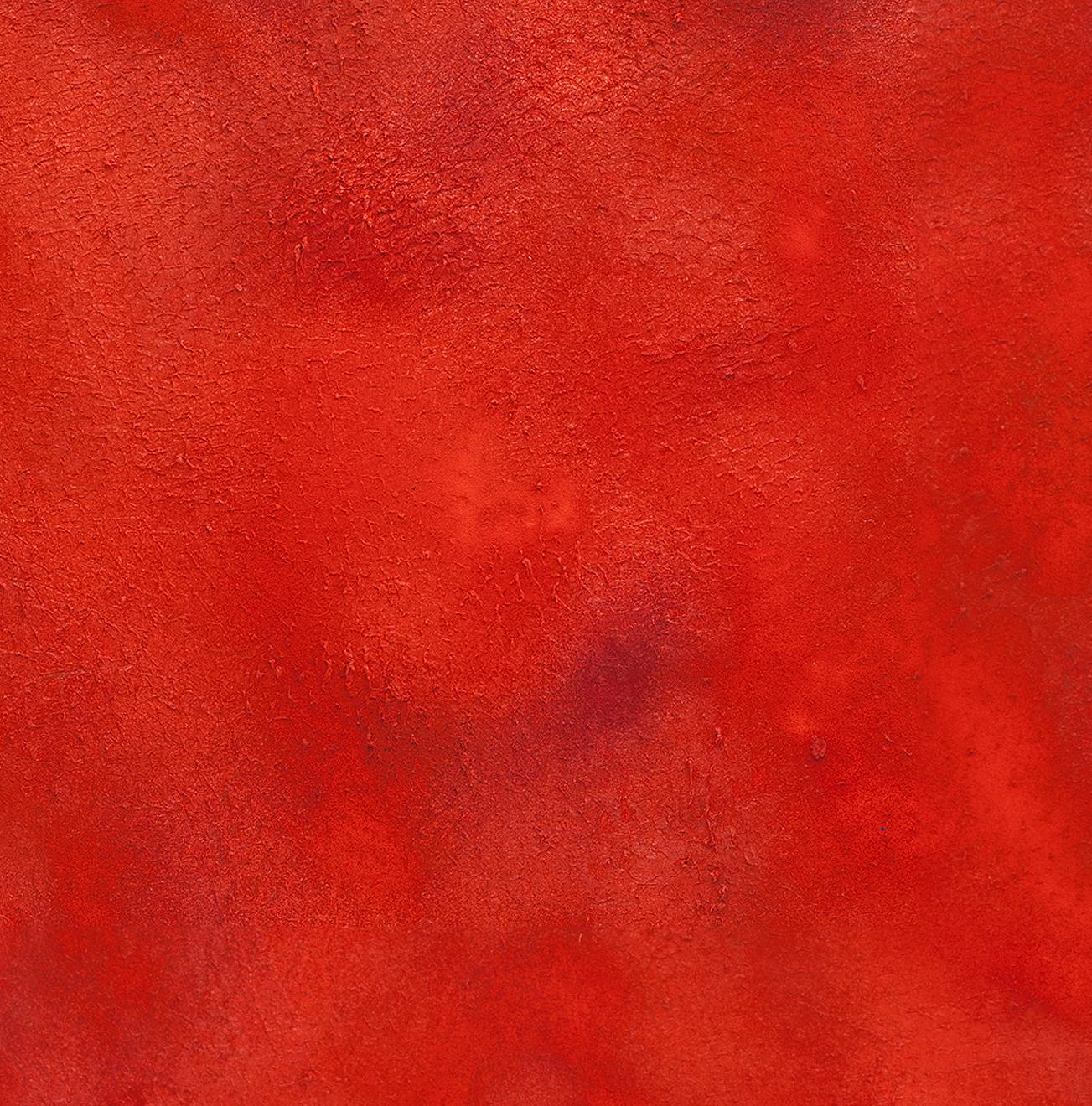 Red II, Expanded Metal Pigment Painting For Sale 1