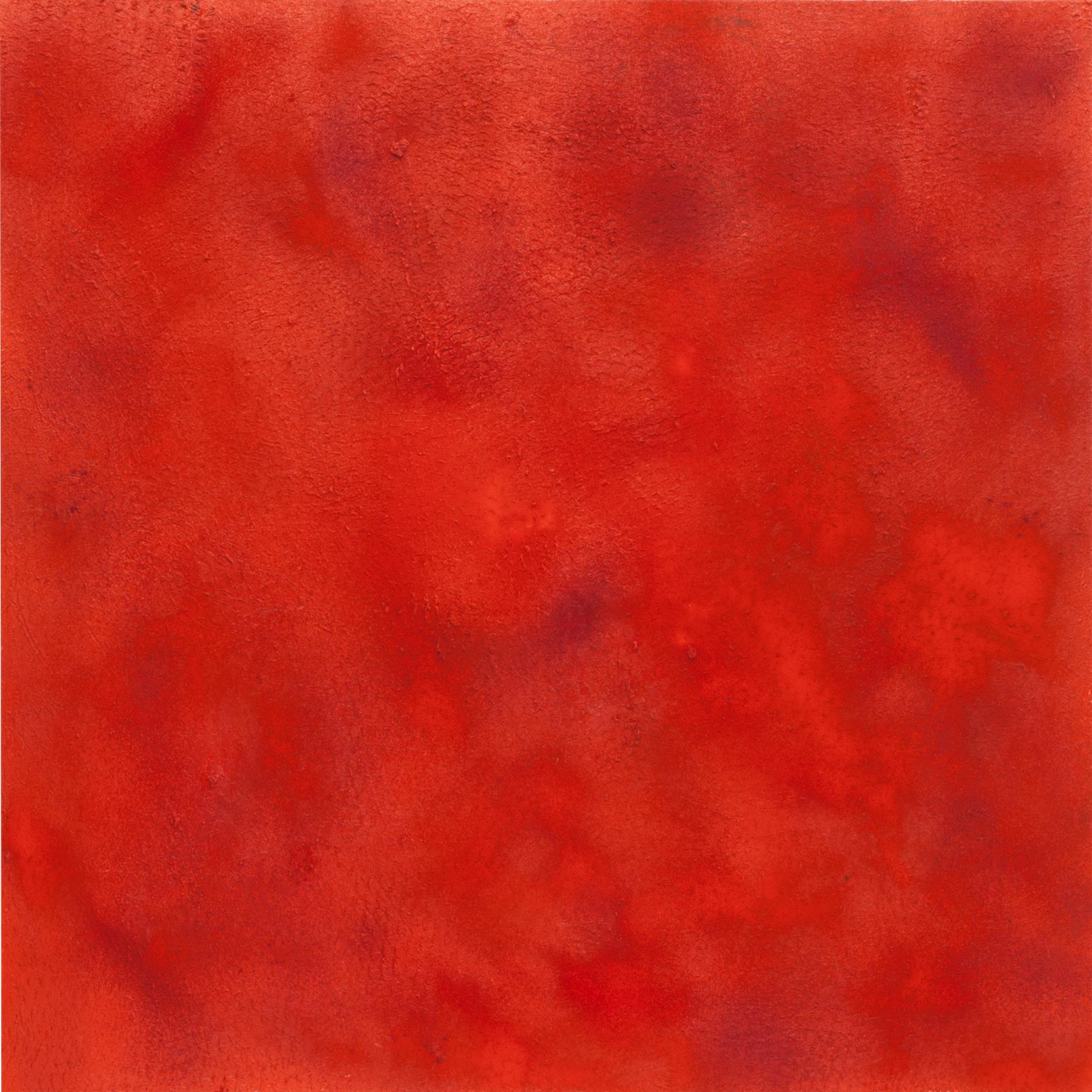 Clemens Wolf Abstract Painting - Red II, Expanded Metal Pigment Painting