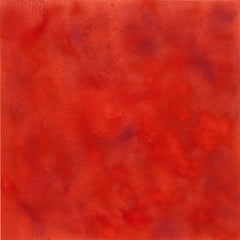 Used Red II, Expanded Metal Pigment Painting