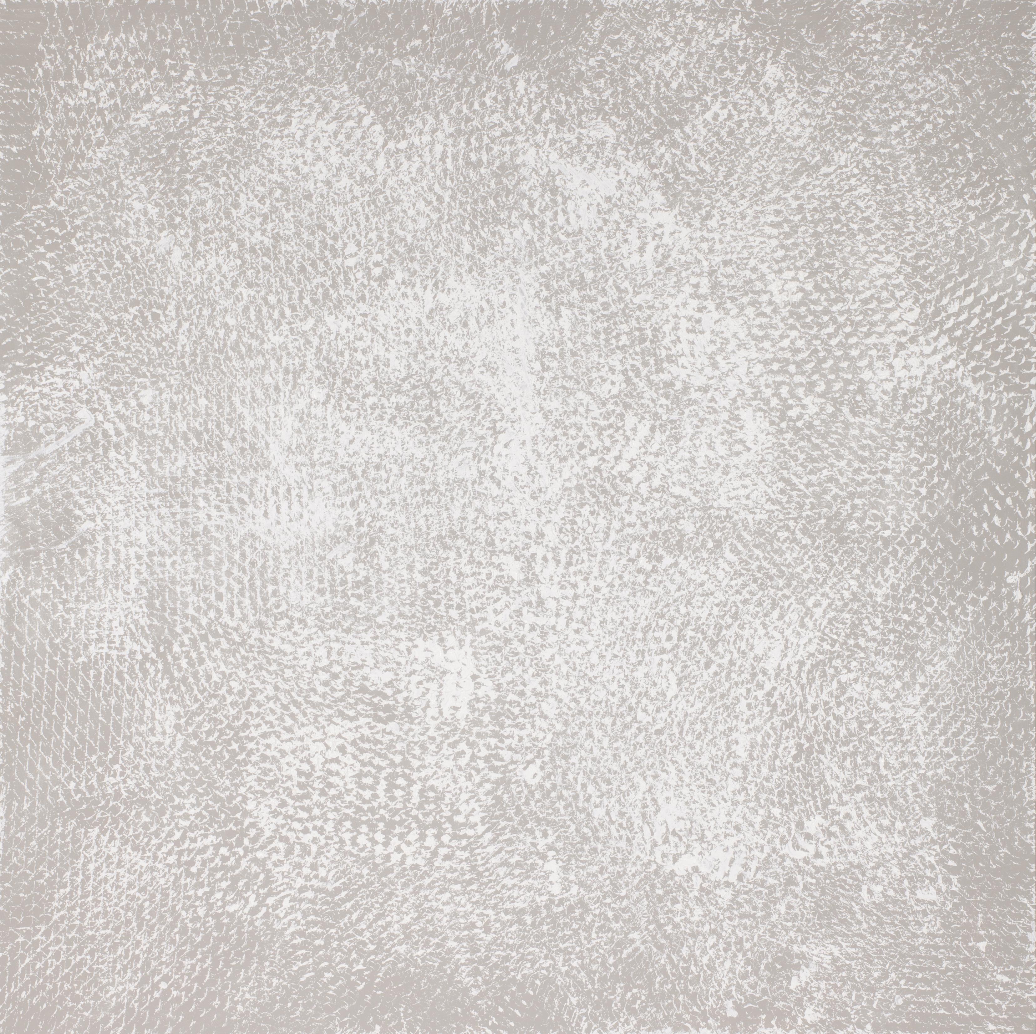 Grau und Weiß I und II, Expanded Metal Painting, Grau und Weiß. Diptychon im Angebot 1