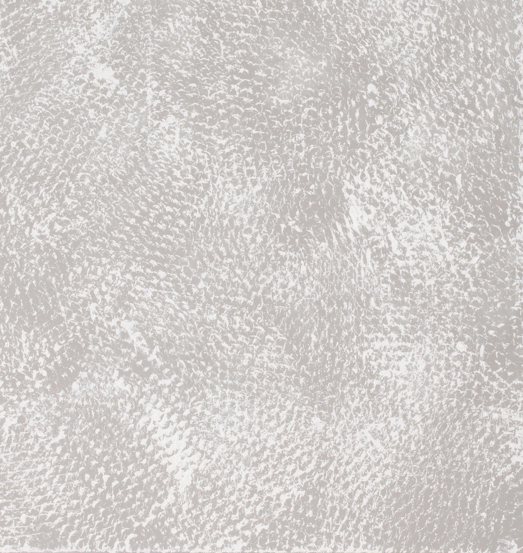Grigio e bianco I e II, Pittura su metallo stirato. Dittico in vendita 1