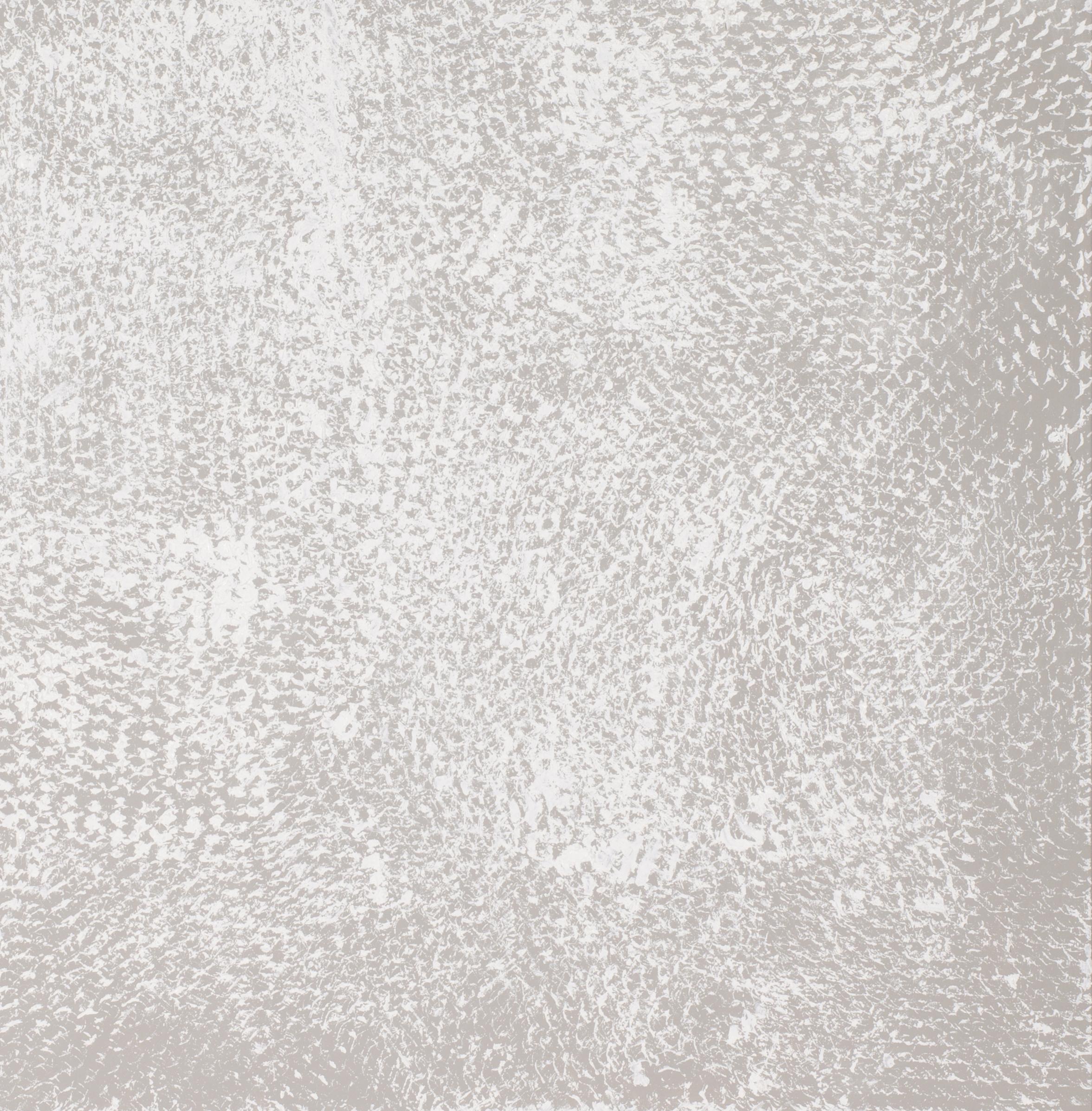 Grau und Weiß I und II, Expanded Metal Painting, Grau und Weiß. Diptychon im Angebot 5