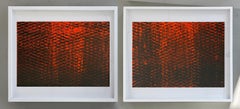 Red and Black I & II, Expanded Metal Painting. Diptych