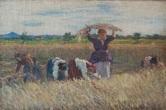 Woman in the field