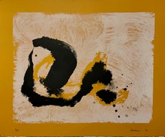 Lyrical Abstract Expressionist Lithograph Cleve Gray Lithograph Silkscreen Print