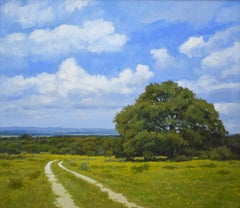 "AROUND THE BEND" TEXAS COREOPSIS