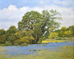"SPRINGTIME BLUES" TEXAS BLUEBONNET  TEXAS HILL COUNTRY