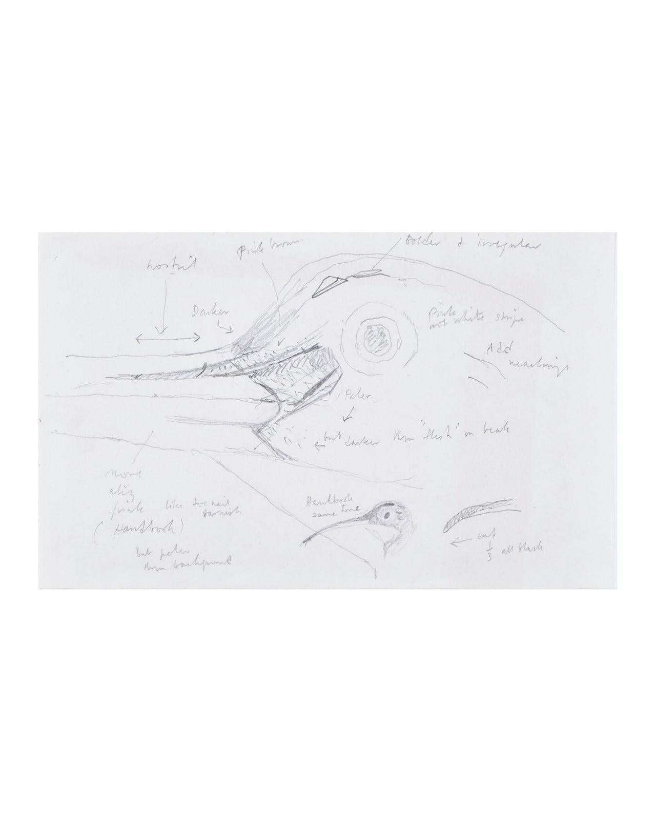 Crayon sur papier
H25 x L31,5 cm (dimensions de l'encadrement)