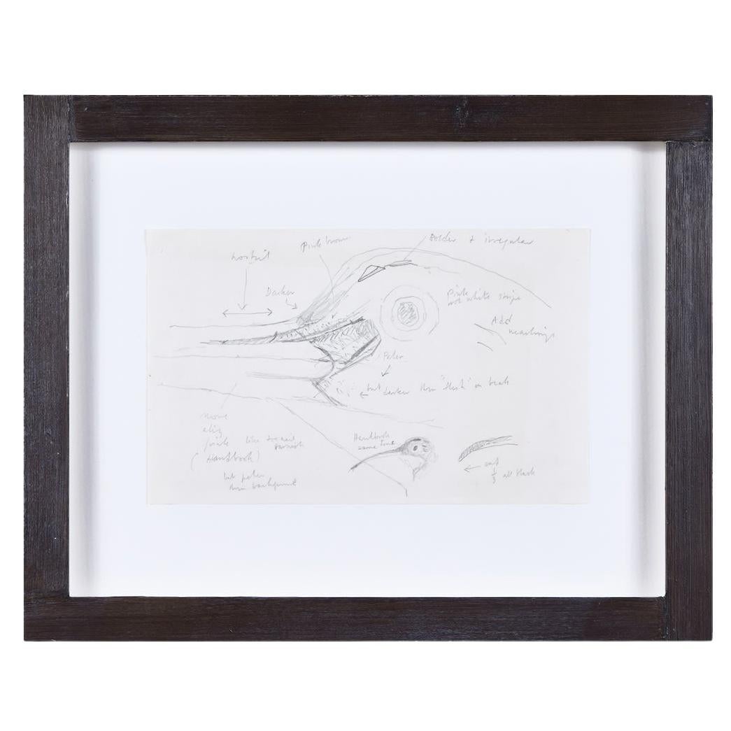 Clifford Ellis, Curlew I