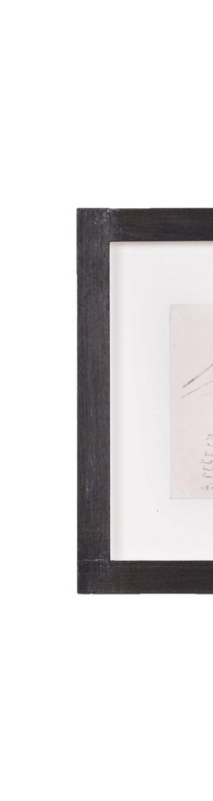 Clifford Ellis, Zarapito II