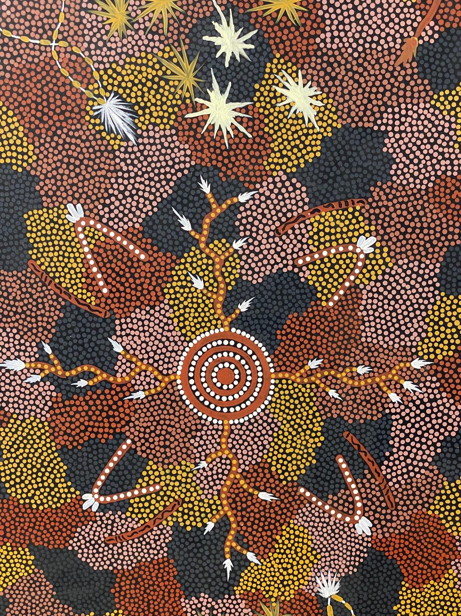 tjapaltjarri aboriginal