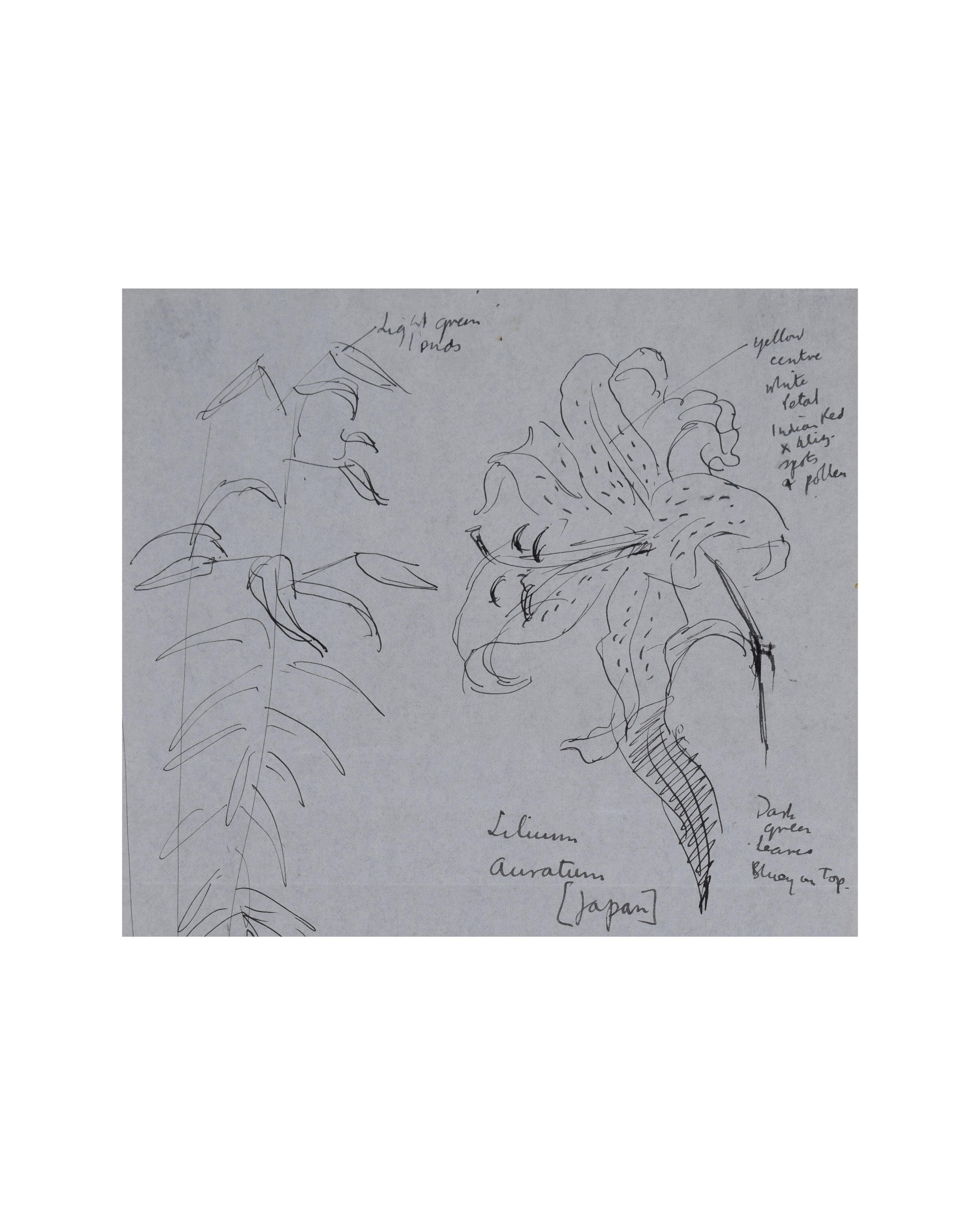 Encre sur papier
H34 x L35 cm (dimensions de l'encadrement)