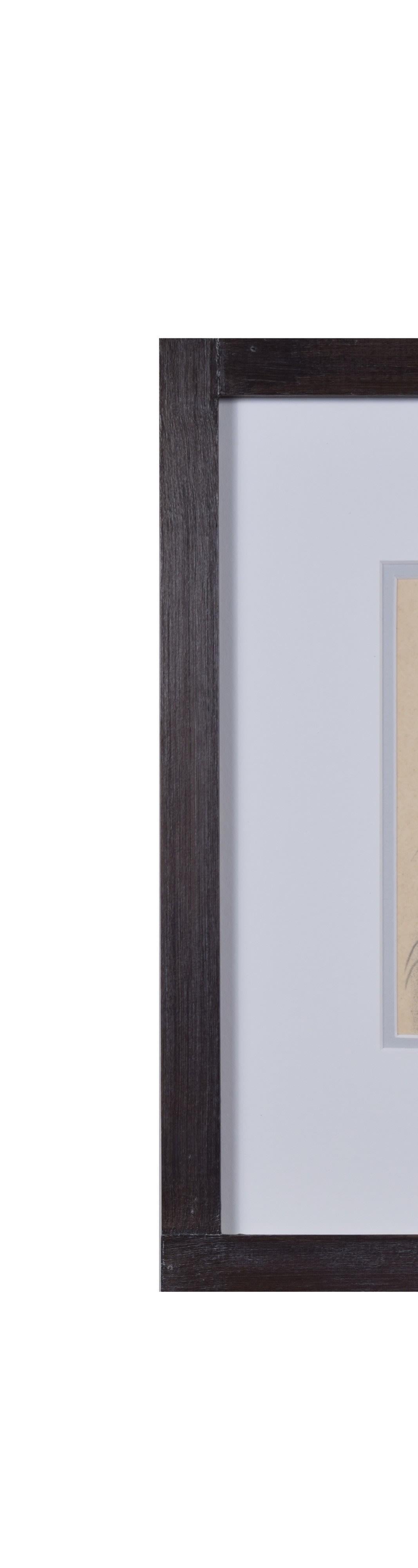 Matita su carta
H35,5 x W34 cm (dimensioni della cornice)