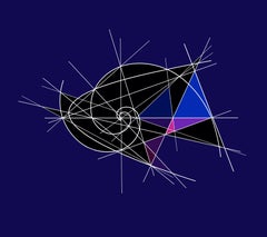 Curva caustica a spirale uguale