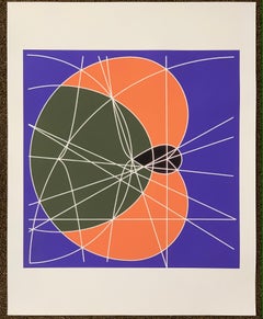 La lezione di geometria