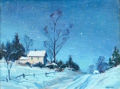 Winter Night, Winter Scene, Starry Night, Snow, Snow Scene, Winter Landscape