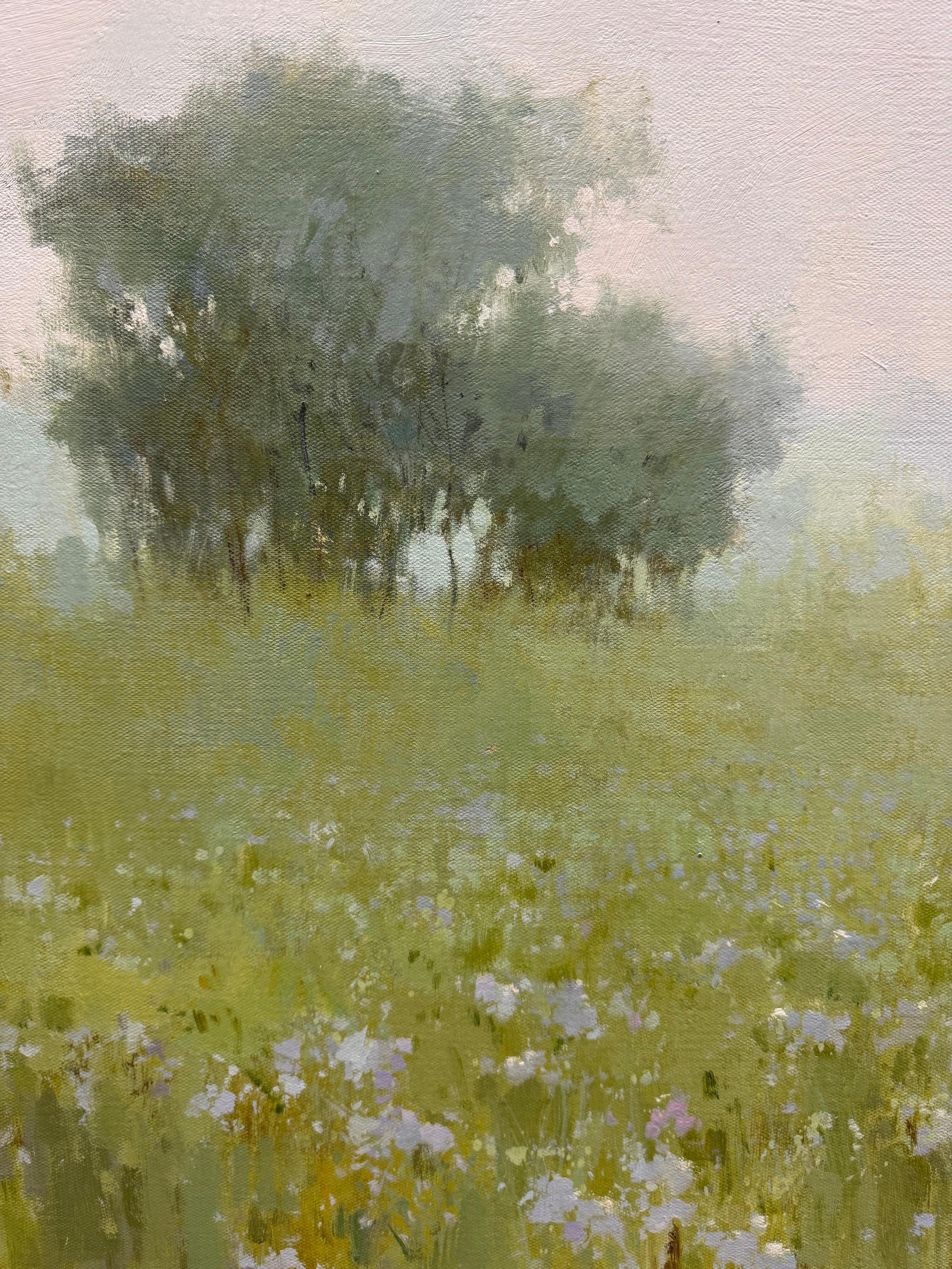 Früher Morgennebel im Angebot 1