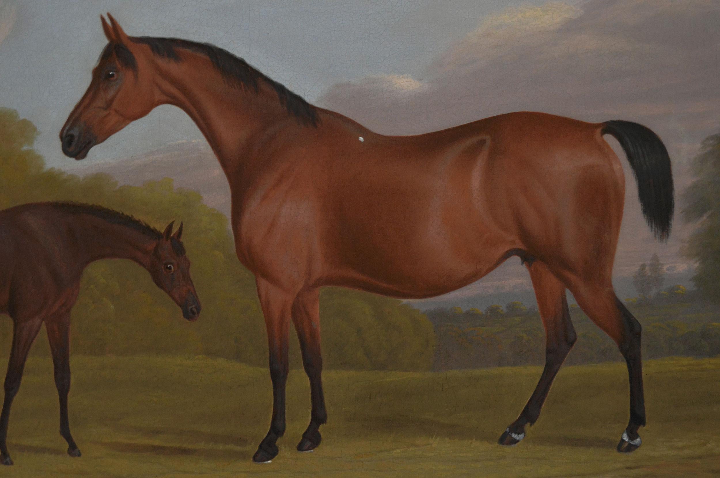 19th Century sporting horse portrait oil painting of a bay hunter & foal - Victorian Painting by Clifton Tomson