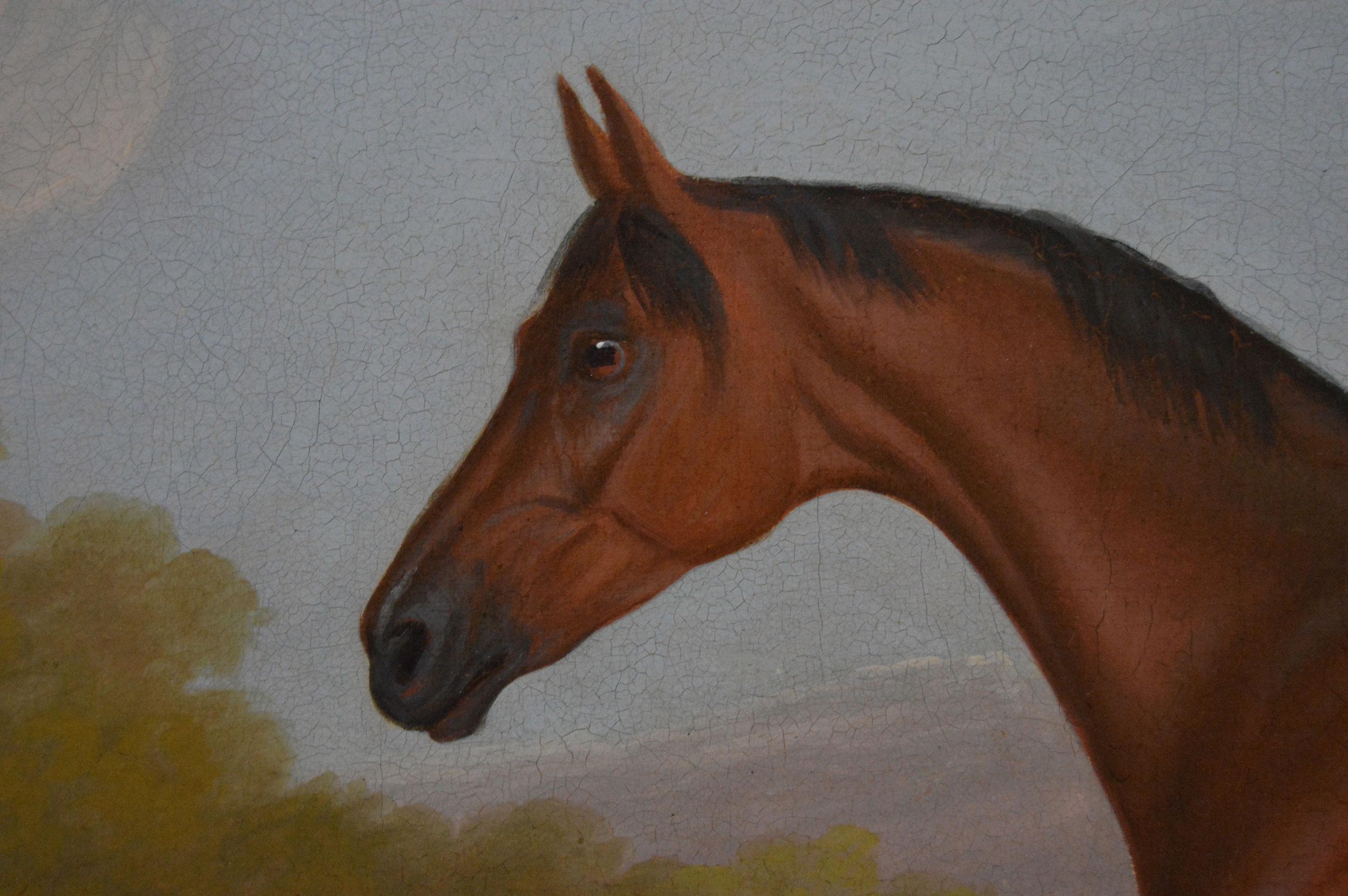 19th Century sporting horse portrait oil painting of a bay hunter & foal - Brown Animal Painting by Clifton Tomson