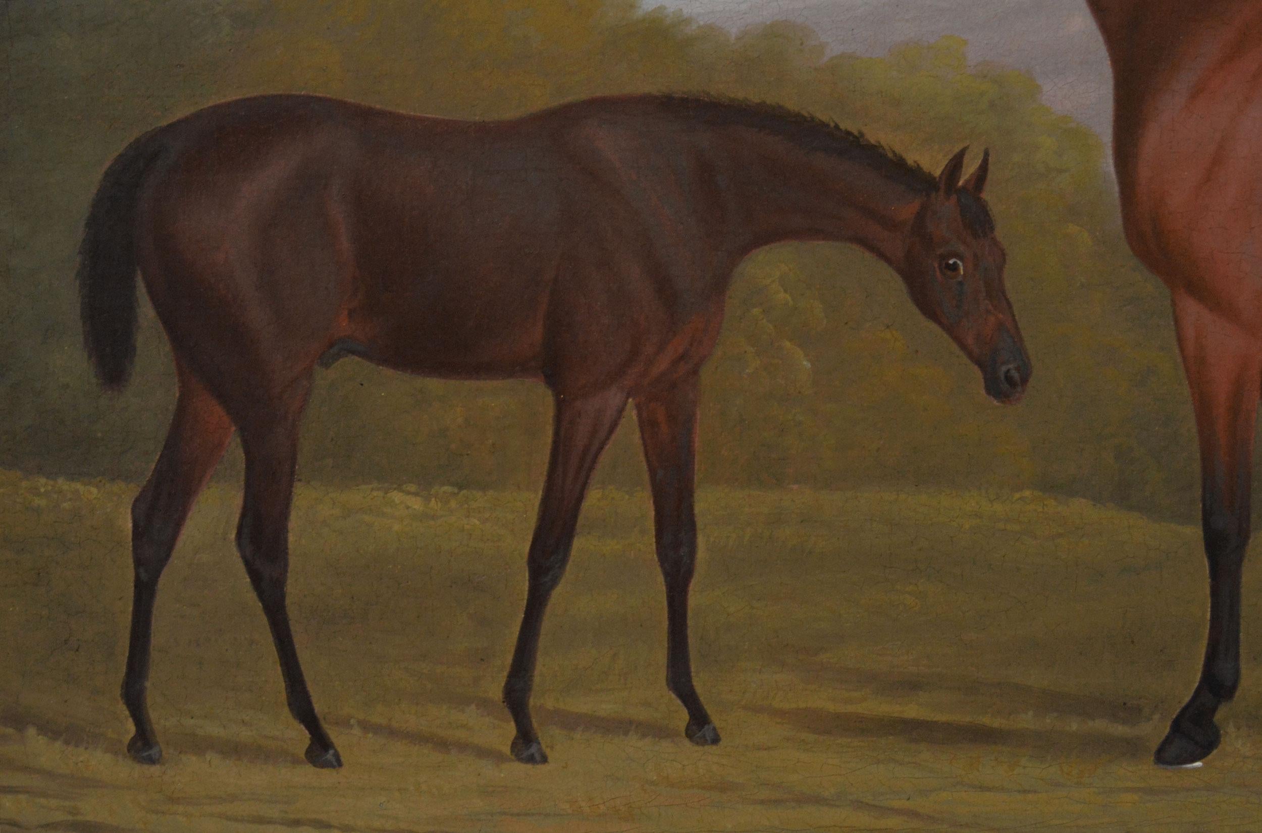 Clifton Tomson
British, (1775-1828)
Bay Hunter & Foal in a Landscape
Oil on canvas, signed, inscribed Nottingham & dated 1826
Image size: 23.25 inches x 29 inches 
Size including frame: 29.5 inches x 35.25 inches
Provenance:  Richard Green, New Bond