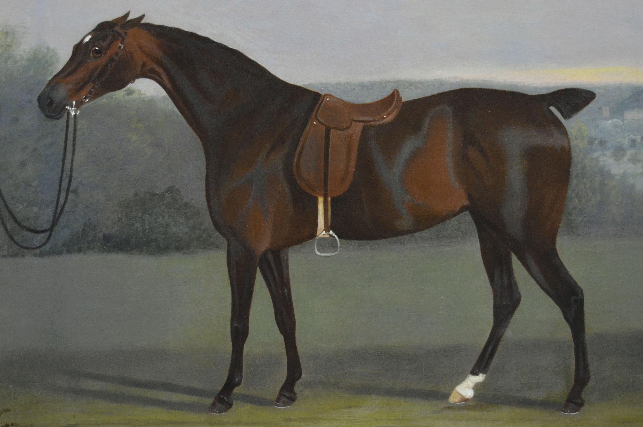 Peinture à l'huile de style sportif du début du 19e siècle représentant un cheval dans un paysage - Marron Animal Painting par Clifton Tomson