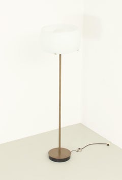 Clitunno Floor Lamp in Bronze Edition by Vico Magistretti for Artemide, 1963