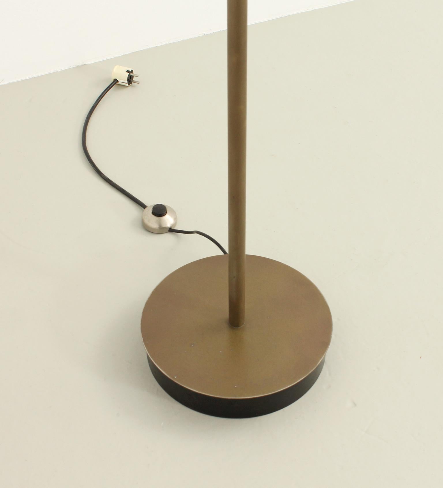 Clitunno Floor Lamp in Bronze Edition by Vico Magistretti for Artemide, 1963 For Sale 1