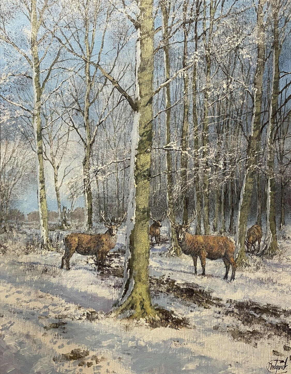 CLIVE MADGWICK (1934-2005) SIGNED OIL - STAGS IN WINTER WOODLAND LANDSCAPE - Painting by Clive Madgwick