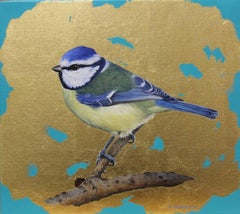 Clive Meredith - Blue Tit Blue Tit