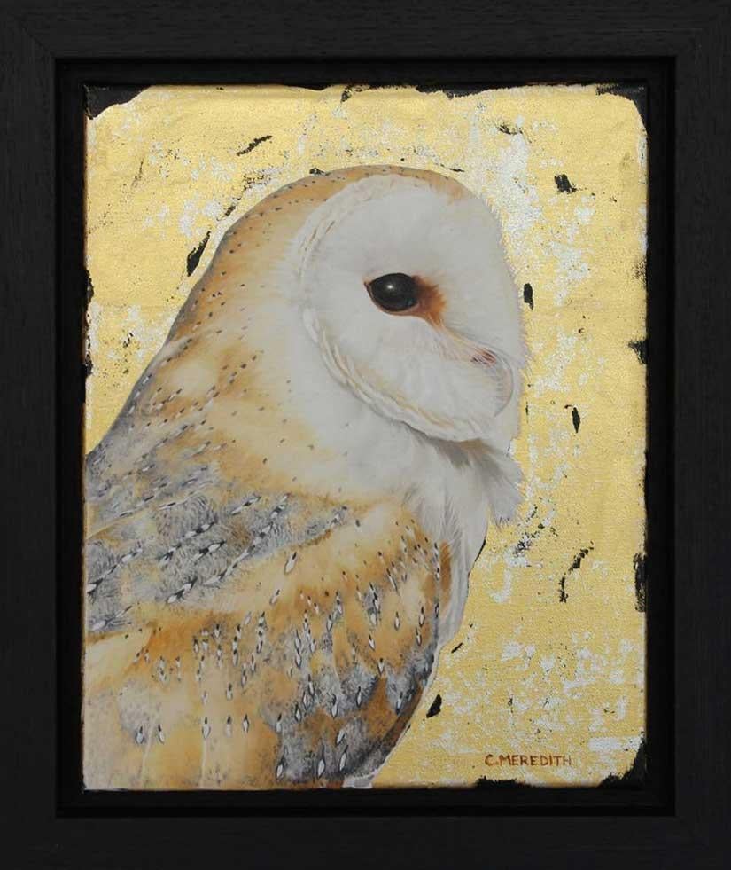 Barn Owl portrait - contemporary realistic animal bird wildlife oil painting - Painting by Clive Meredith