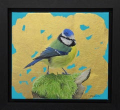 Blue Tit 3