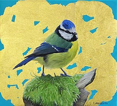 Blue Tit 3
