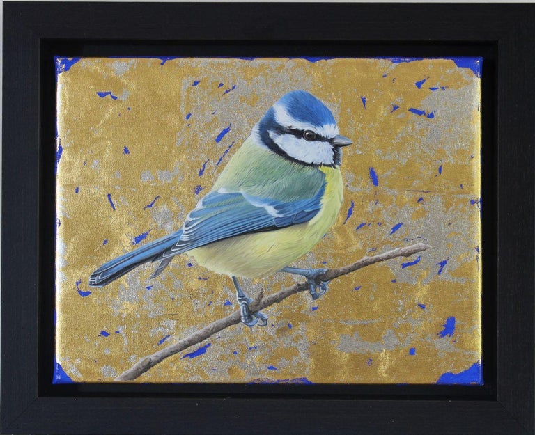 Blue Tit - contemporary mixed media nature bird gold oil painting canvas framed - Painting by Clive Meredith