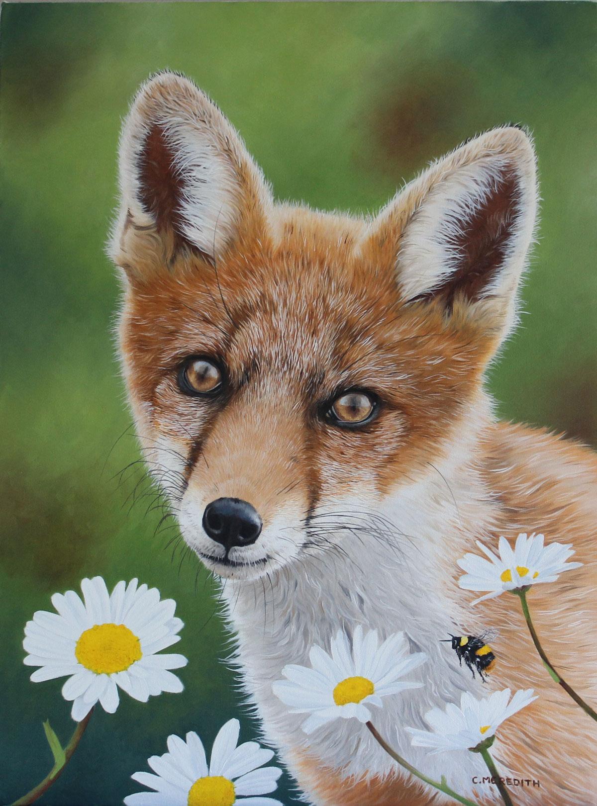 Clive Meredith Animal Painting - Fox Cub and Daisies - oil fox animal floral contemporary painting