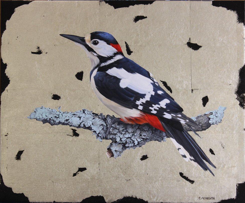 Clive Meredith Animal Painting - Great Spotted Woodpecker -contemporary hyper-realistic bird oil on canvas