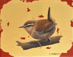 Jenny Wren