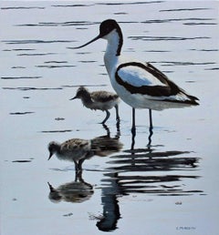 Keeping Close (Avocet and Chicks) - peinture à l'huile contemporaine d'animaux sauvages