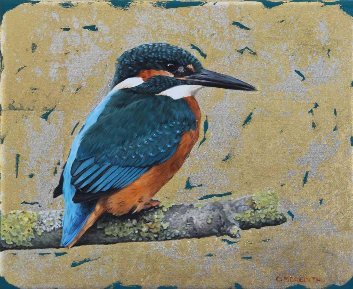 Clive Meredith Animal Painting - Kingfisher Study - contemporary realistic animal wildlife bird oil painting
