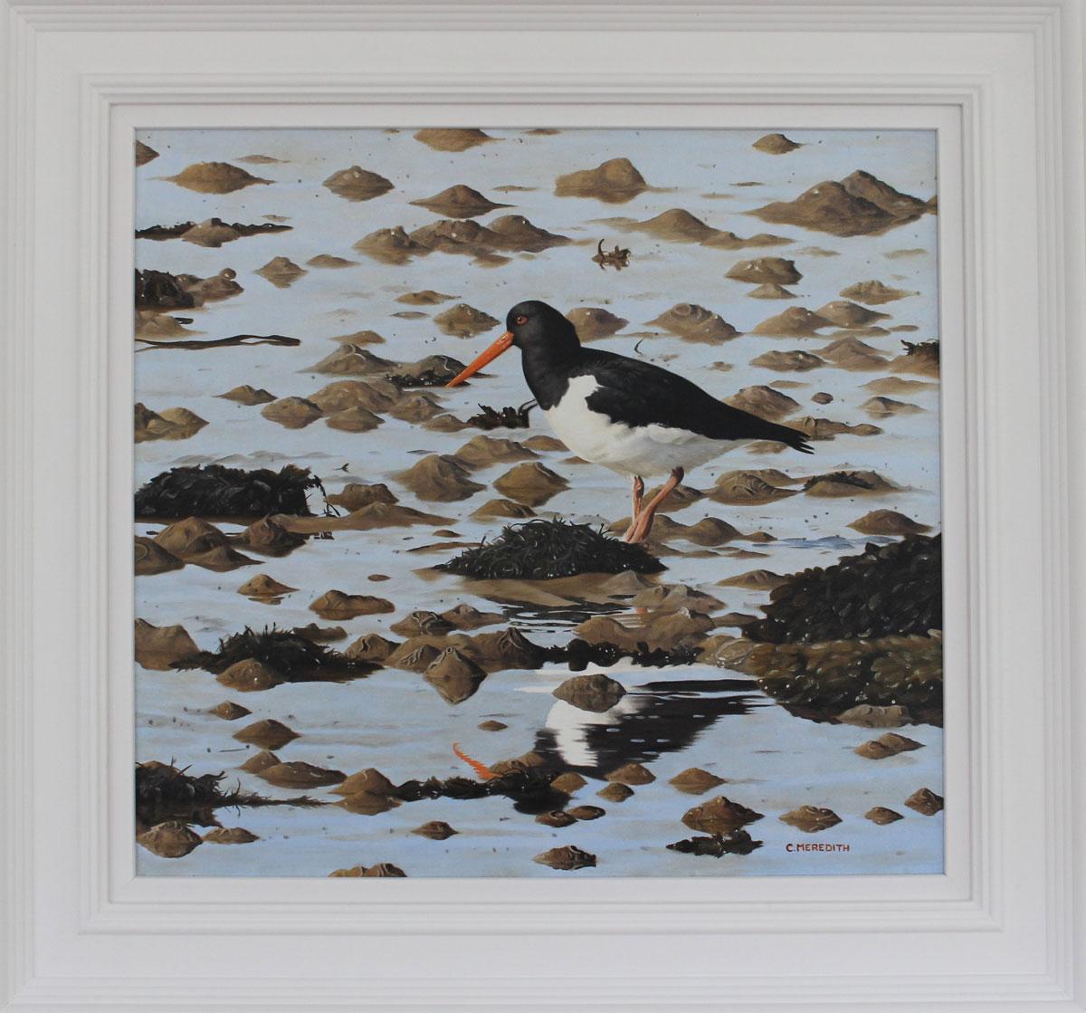 Oystercatcher, Low Tide - bird wildlife contemporary oil painting - Painting by Clive Meredith