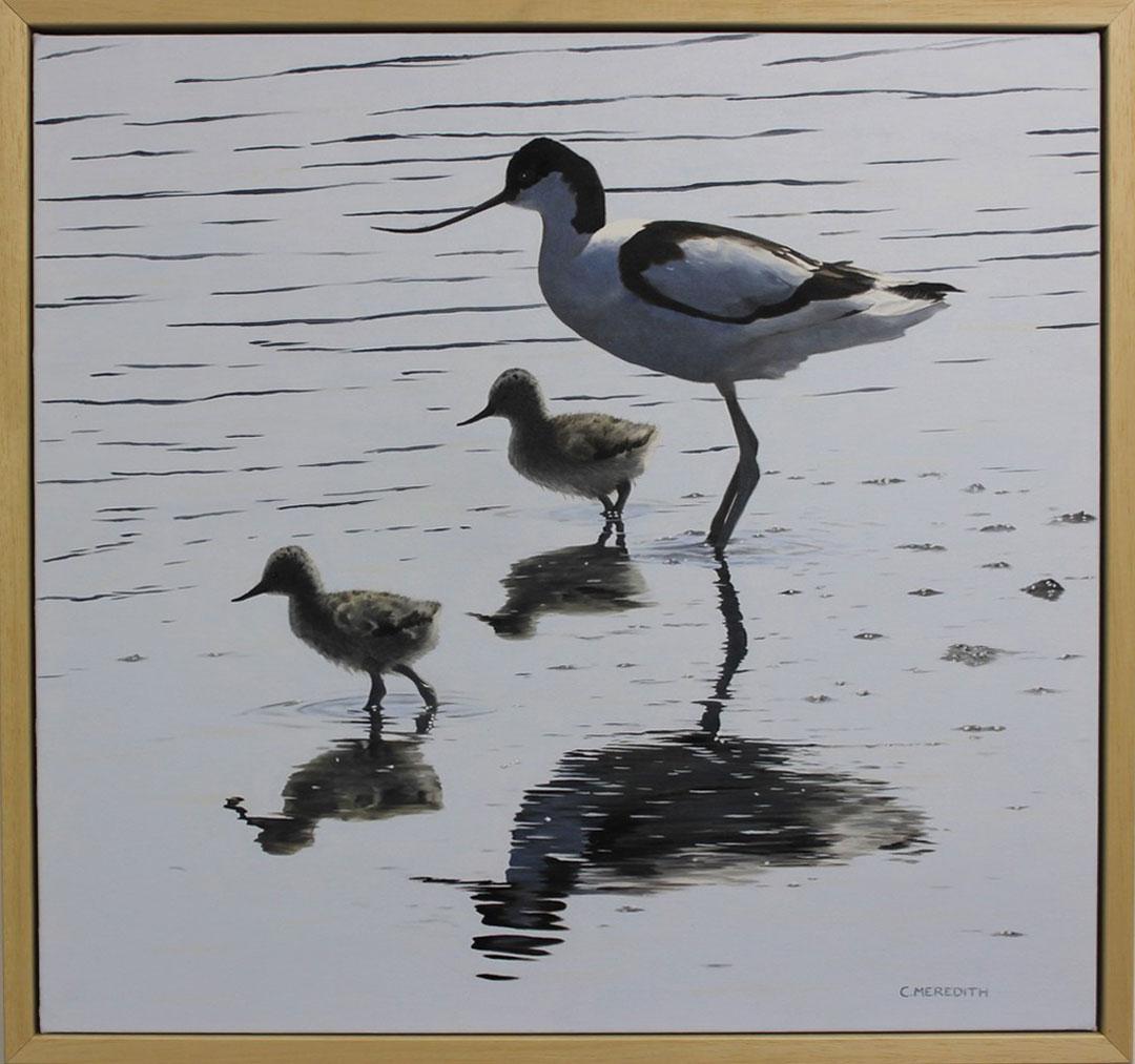 Quiet Reflections – Avocet and Chicks - Painting by Clive Meredith