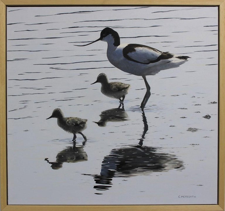 Quiet Reflections – Avocet and Chicks - Painting by Clive Meredith