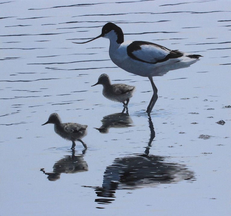 Clive Meredith Animal Painting - Quiet Reflections – Avocet and Chicks