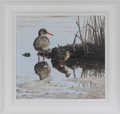 Redshank and Chick - oil redshank bird animal contemporary painting