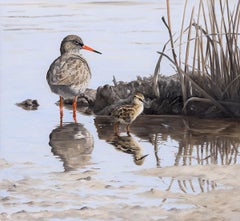 Redshank and Chick - oil redshank bird animal contemporary painting