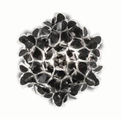 SLAMP Clizia Ceiling/wall Medium - MNM Black designed by Adriano Rachele