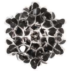 SLAMP Clizia Ceiling/wall Medium - MNM Black designed by Adriano Rachele