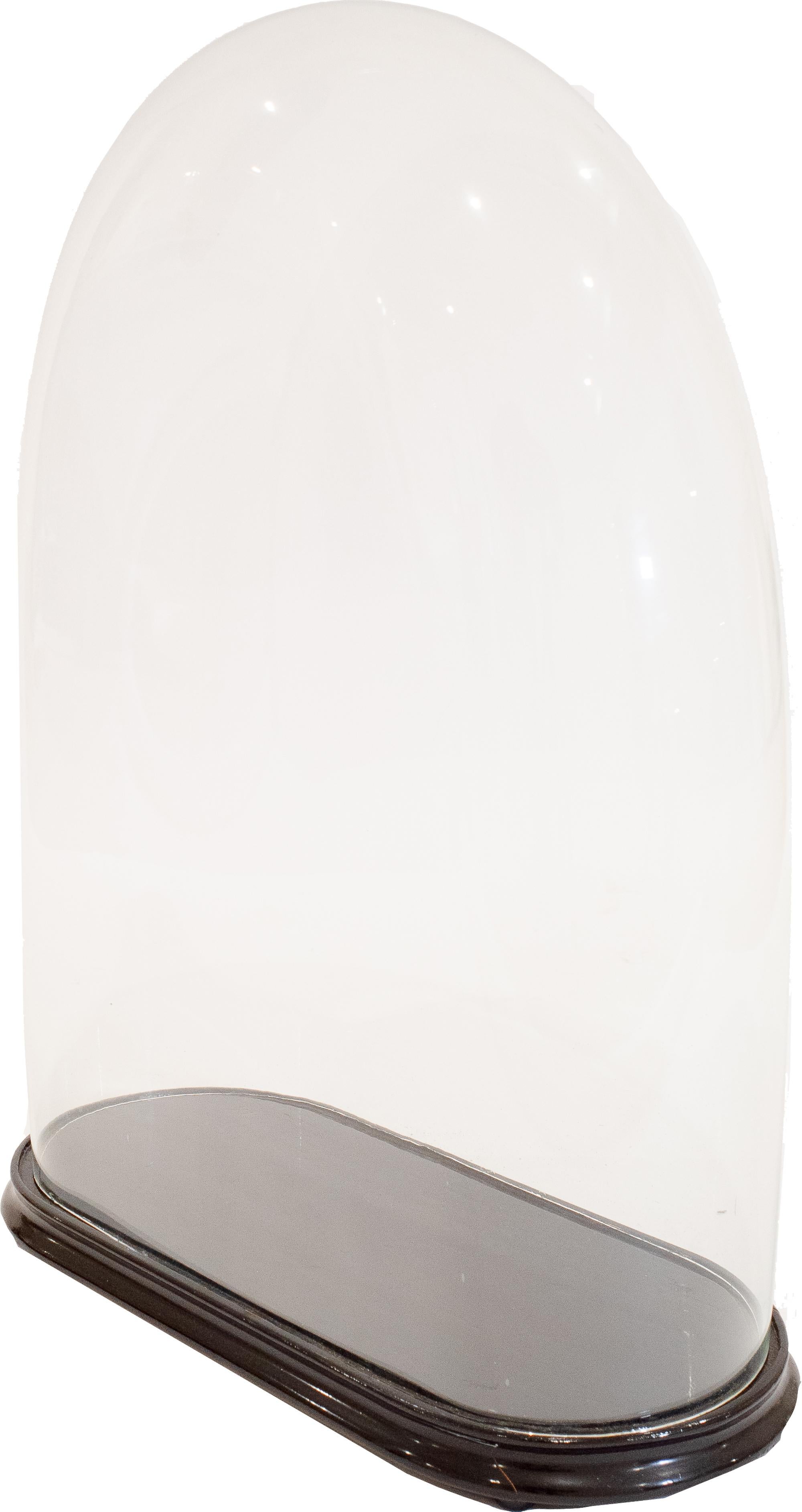 Questa cloche di vetro di medie dimensioni è uno studio di eleganza contrastante, progettato per dare al suo contenuto una presentazione drammatica e di qualità museale. La sua silhouette è sorprendente: un profilo sottile e aggraziato che si