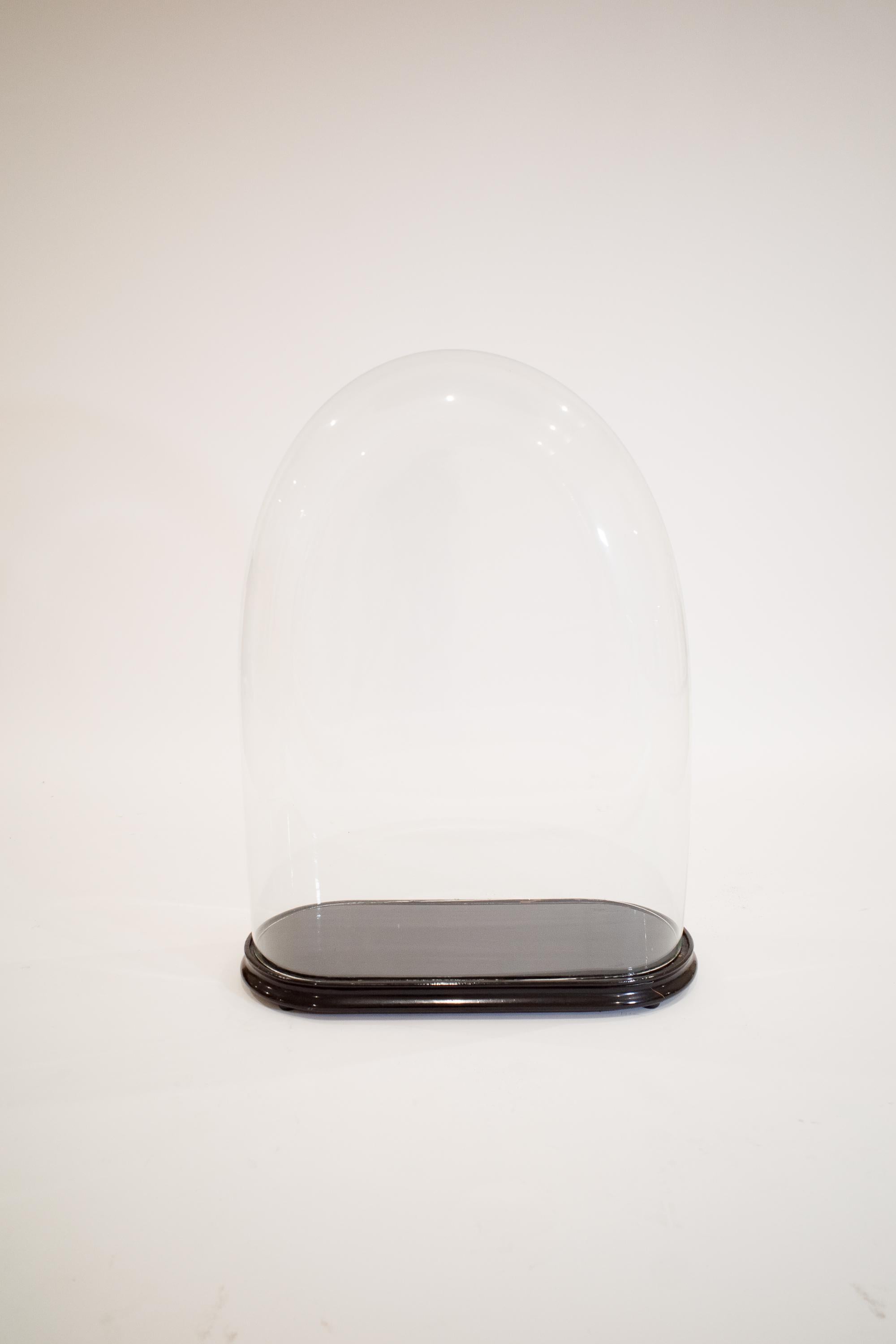 Stile provenzale Cloche con base in Wood laccato in vendita